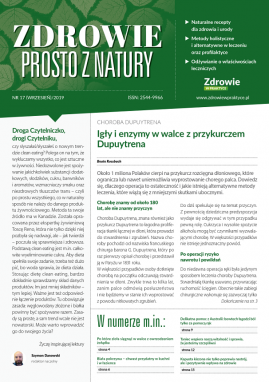 okładka AZI17