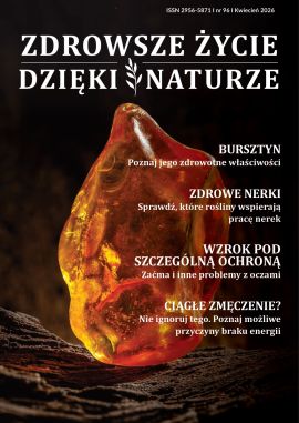 AZI96_okładka