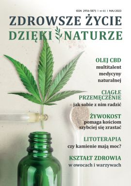 AZI61_okładka