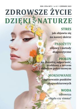 AZI62_okładka