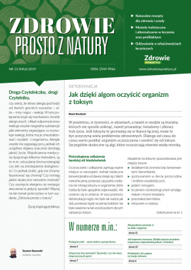 okladka_AZI13