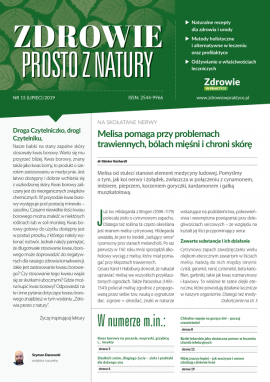 okładka AZI15