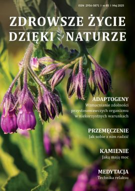 AZI85_okładka
