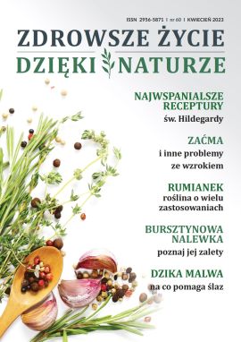 AZI60_okładka