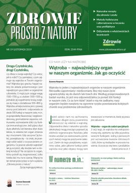 okładka_AZI19