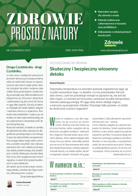 okladka_AZI11