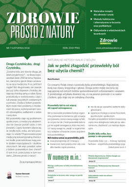 Zdrowie prosto z natury 7/2018 (Listopad)