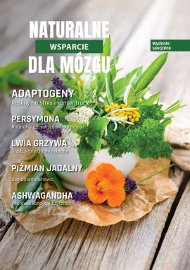 SZI18_okładka