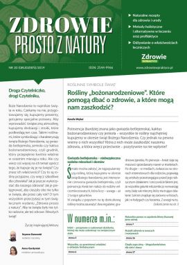 okładka AZI20