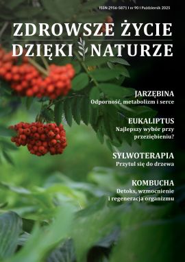 AZI90_okładka