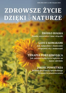 AZI88_okładka